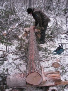 %D0%B0 %D1%81%D0%BD%D0%B510