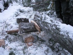 %D0%B0 %D1%81%D0%BD%D0%B512