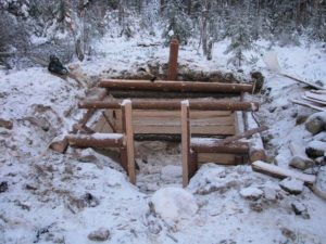 %D0%B0 %D1%81%D0%BD%D0%B516