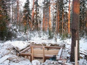 %D0%B0 %D1%81%D0%BD%D0%B518