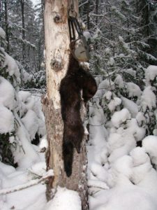 %D0%B0 %D1%81%D0%BD%D0%B520