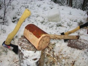 %D0%B0 %D1%81%D0%BD%D0%B53