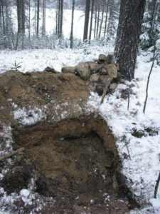 %D0%B0 %D1%81%D0%BD%D0%B54