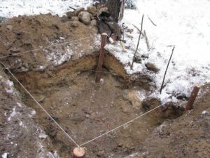 %D0%B0 %D1%81%D0%BD%D0%B57